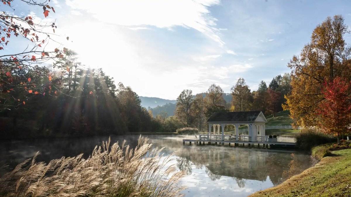 Blackberry Farm - Photo 5