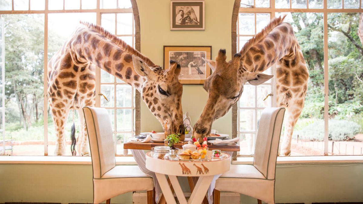 Giraffe Manor - Photo 1