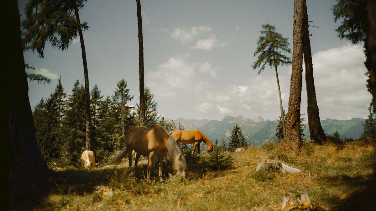 Miramonti Boutique Hotel - Photo 4