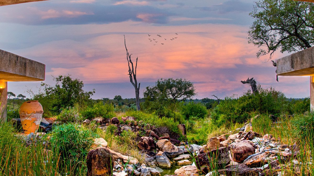 Sabi Sabi Earth Lodge - Photo 5