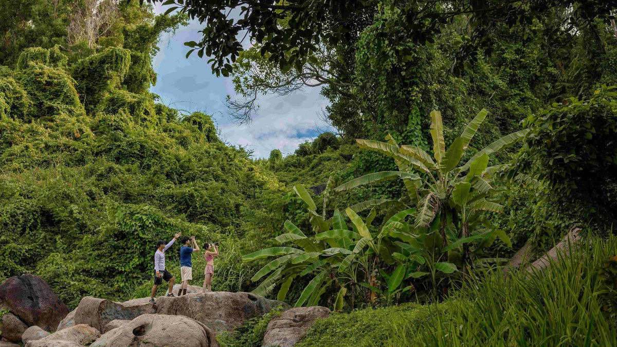 Banyan Tree Lang Co - Photo 6