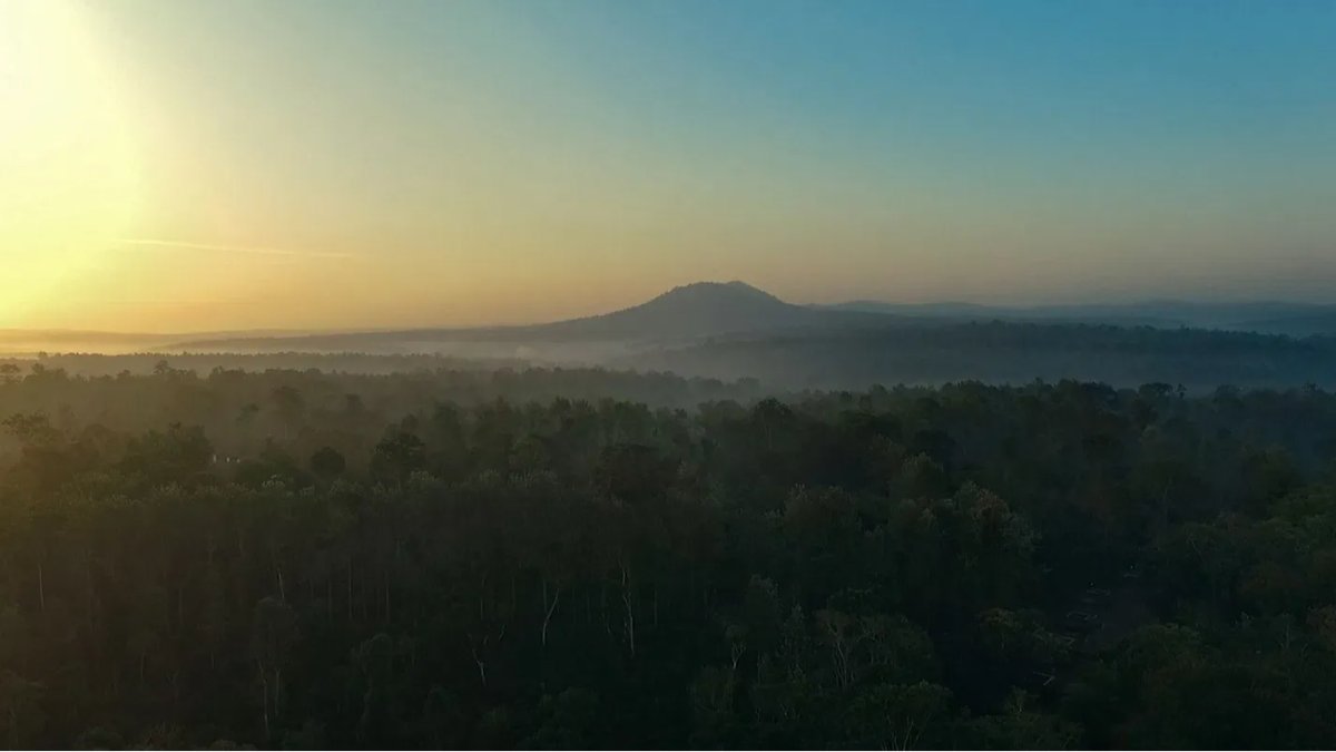 Evolve Back Coorg - Photo 9